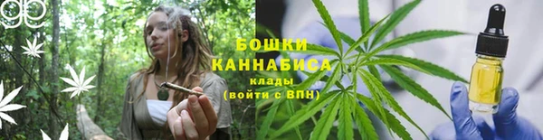 трава Арсеньев