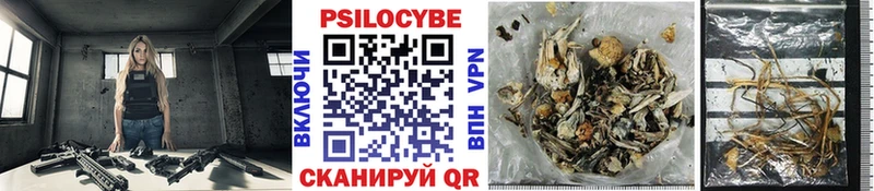 Купить Агидель Псилоцибиновые грибы GOLDEN TEACHER